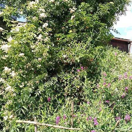 Landhaus Fohlenhof Paradies Im Gruenen Mehrstetten